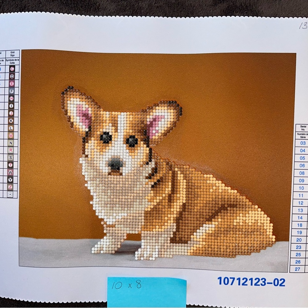 Corgi Diamond Painting - Completed